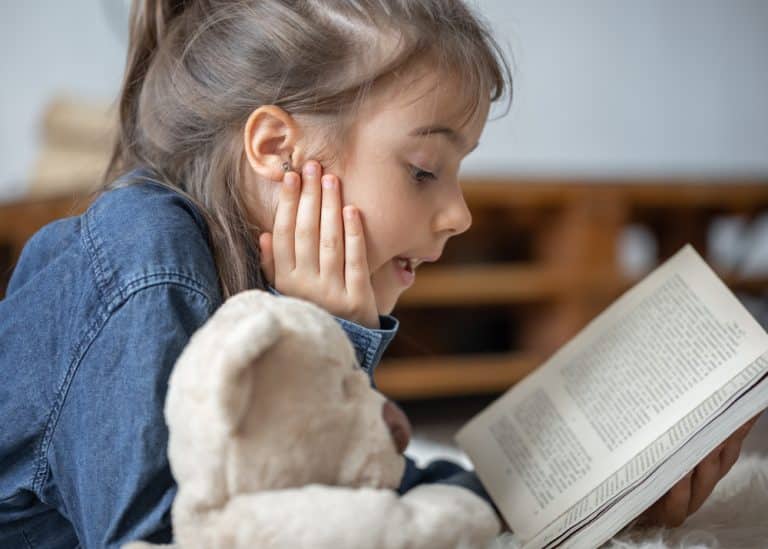 Boîte à livres